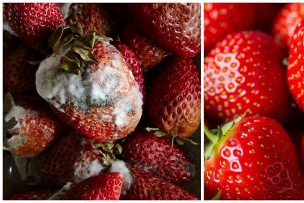 Cele mai bune 10 trucuri pentru a pastra alimentele proaspete mai mult timp