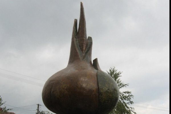 La Festivalul Cepei, comuna Pericei a intrat pentru a treia oara in Cartea Recordurilor