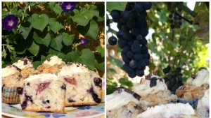 Briose cu afine, prune, crocant de migdale si topping de frisca aromatizata