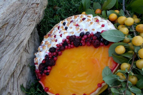 Tarta de fructe de padure si jeleu de corcoduse