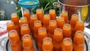 Nectar de caise