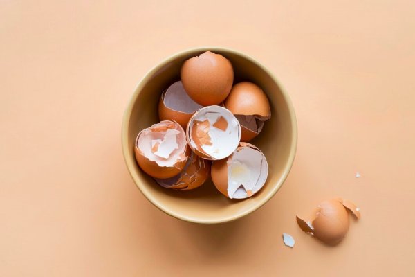 Cojile de oua: intrebuintari in gospodarie